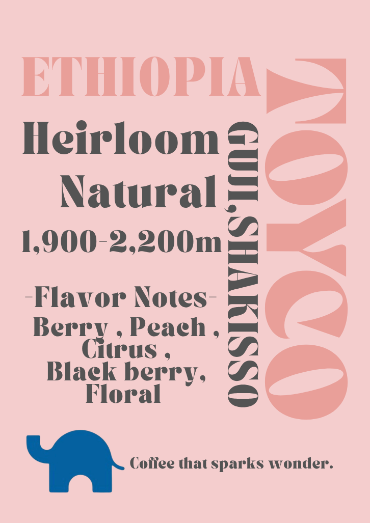 【Ethiopia】Guji Shakisso G1 Heirloom Natural