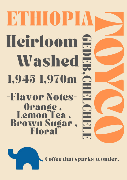 【Ethiopia】Yirgacheffe G-1 Gedeb Chelchele Heirloom Washed